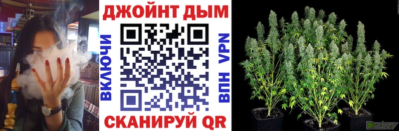 Что такое Губаха Галлюциногенные грибы  Alpha PVP  Амфетамин  Канабис  Cocaine 