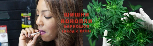 гашик Балахна