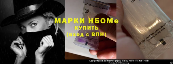индика Баксан
