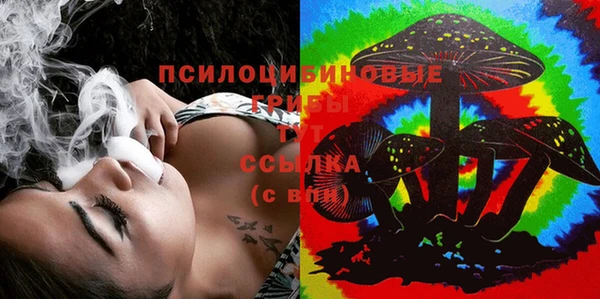 индика Баксан