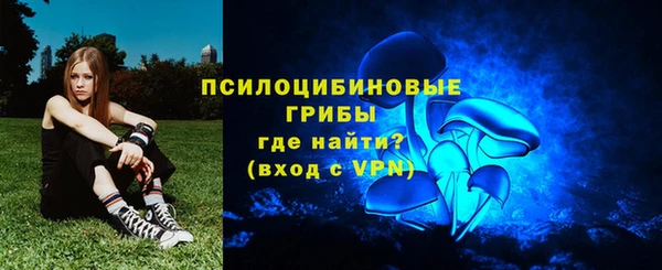 индика Баксан