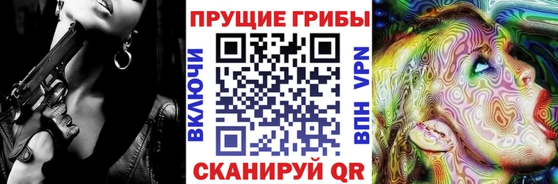 Псилоцибиновые грибы Psilocybe  Губаха 